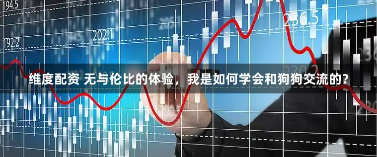 维度配资 无与伦比的体验，我是如何学会和狗狗交流的？