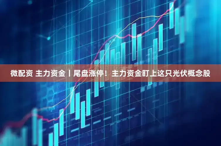 微配资 主力资金丨尾盘涨停！主力资金盯上这只光伏概念股