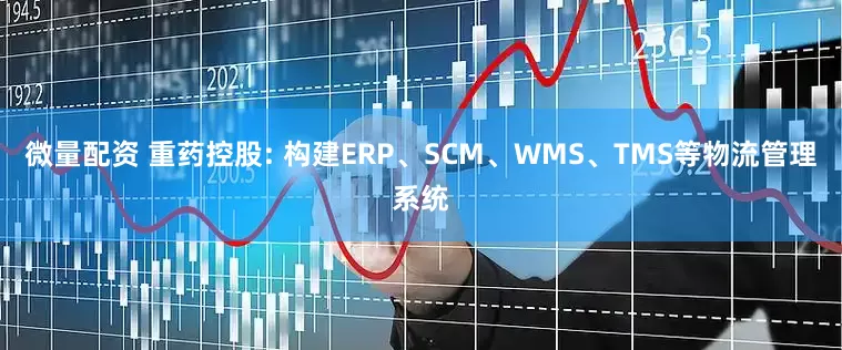 微量配资 重药控股: 构建ERP、SCM、WMS、TMS等物流管理系统