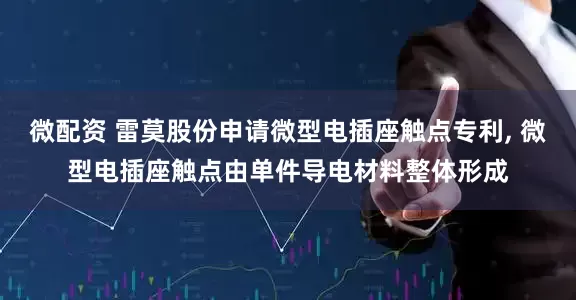 微配资 雷莫股份申请微型电插座触点专利, 微型电插座触点由单件导电材料整体形成