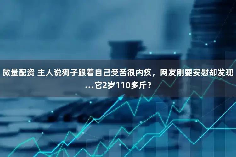 微量配资 主人说狗子跟着自己受苦很内疚，网友刚要安慰却发现…它2岁110多斤？