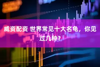 威资配资 世界常见十大名龟，你见过几种？