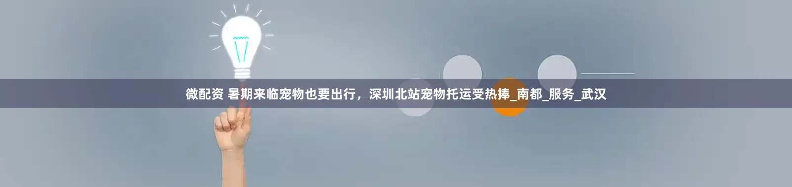 微配资 暑期来临宠物也要出行，深圳北站宠物托运受热捧_南都_服务_武汉