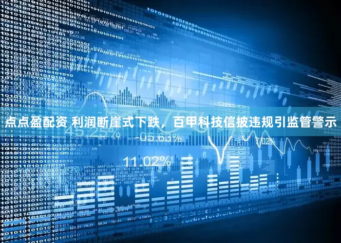 点点盈配资 利润断崖式下跌，百甲科技信披违规引监管警示
