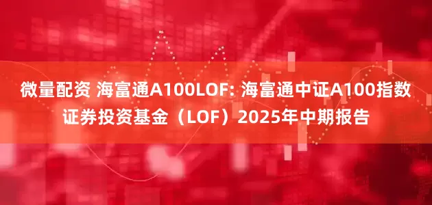 微量配资 海富通A100LOF: 海富通中证A100指数证券投资基金（LOF）2025年中期报告