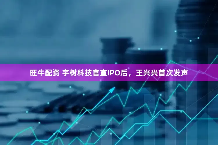 旺牛配资 宇树科技官宣IPO后，王兴兴首次发声