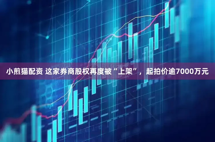 小煎猫配资 这家券商股权再度被“上架”，起拍价逾7000万元